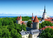 Visite de la vieille ville de Tallinn